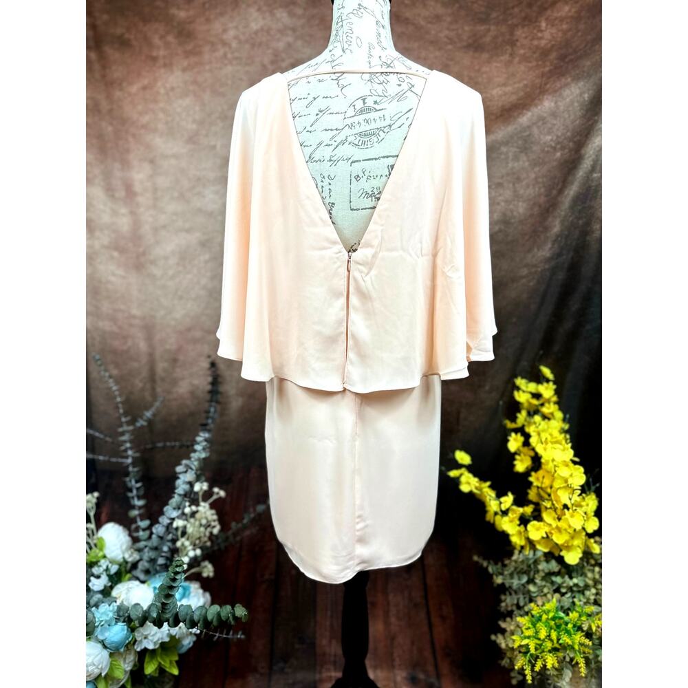 Three Eighty Two V Neck Overlay Chiffon Mini Dres… - image 10